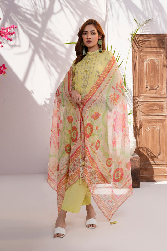 Women Cotton Printed Kurta Cotton Duppatta Embroidered Lace Dyed Salwar - Sunlit Threads