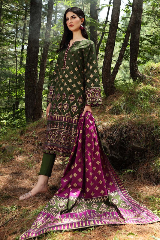 2PC Unstitched Digital Printed Khaddar Suit TCN-12014 B